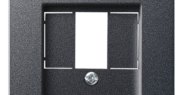 Tae Switch System 55 Cover for TAE and USB, anthracite